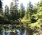 Owen Lake along the Baden Powell trail towards Eagle Bluffs