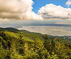 A view towards the city of Vancouver from Eagle Bluffs