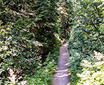 The trail to Falls Lake in the Coquihalla Recreation Summit Area