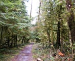 The Fisherman's Trail along the secton north of the Homestead Trail