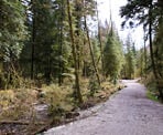 The Fisherman's Trail in the Lower Seymour Conservation Reserve in North Vancouver