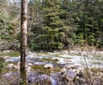 The Seymour River in the Lower Seymour Conservation Reserve