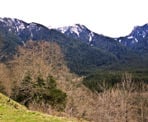 The view from the mid-valley viewpoint in the Lower Seymour Conservation Reserve