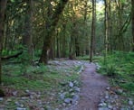 The beginning of the short hiking trail to Flood Falls in Hope