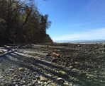 The Foreshore Trail route along Acadia Beach in Pacific Spirit Regional Park