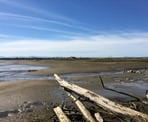 A view along the Foreshore Trail looking back towards Wreck Beach