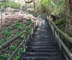 The steep stairs of Trail 7 that connects the Old Marine Drive to the Foreshore Trail
