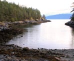 A view of the inner harbour along the trail to Francis Point