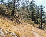 The George Hill Trail on Pender Island