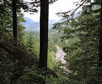 The Gold Creek viewpoint along the trail to Golden Ears