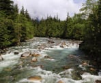 A view of Gold Creek while crossing the bridge in Golden Ears Provincial Park