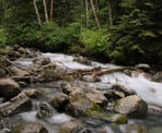 A small creek near the West Canyon Trail in Golden Ears Provincial Park