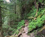 The rugged section of the West Canyon Trail in Golden Ears Provincial Park