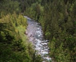 The view from the Gold Creek Lookout with the bridge in the background