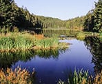 Greenburn Lake during the evening on Pender Island