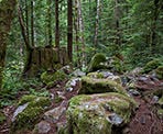 The rugged backcountry trail as you hike towards the Hanes Valley