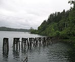 Old pillars used for railway lines near Hayward Lake in Mission, BC