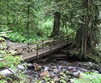 A wooden bridge crosses a creek at Hayward Lake in Mission, BC