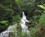 Steelhead Falls near Hayward Lake in Mission, BC