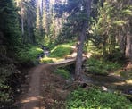 The forested trail to Helm Lake in Garibaldi Provincial Park