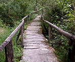 An old, rickety bridge crosses a stream next to the Beaver Pond near Hicks Lake