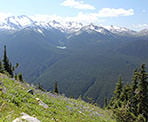 The view of Garibaldi Provincial Park amongst the wild flowers along the High Note Trail