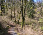 The trail heading into Hillkeep Regional Park in Chilliwack