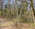The Hillkeep Regional Park Trail in Chilliwack, BC