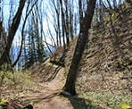 The trail heading up to the viewpoint in Hillkeep Regional Park