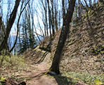 The trail heading up to the viewpoint in Hillkeep Regional Park