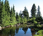 A small mountain lake that is unnamed along the trail to Hollyburn Mountain