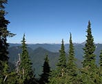 A viewpoint along the Hollyburn Mountain trail
