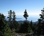 The view from the top of Hollyburn Mountain