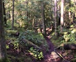 The Homesite Caves Trail north of Sechelt on the Sunshine Coast