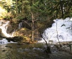 The view of Homesite Creek Falls from the Nature Trail