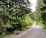 The steep start of the Hunter Road Trail
