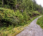 The Hunter Road Trail follows a forestry service road