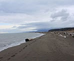 Footsteps along Iona Beach in Richmond, BC