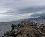 Logs cover the furthest section of Iona Beach