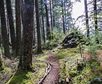 The trail to the Iron Mountain Lookout in Mission, BC