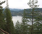 A rocky bluff offers a slight viewpoint before the trail heads downhill towards Jug Island Beach