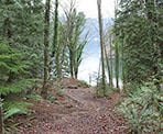 The final, steep descent down to Jug Island Beach