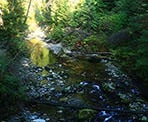 Kanaka Creek in the summer time in Maple Ridge, BC