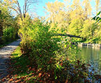 A bridge passes over the section of Kanaka Creek near the Riverfront