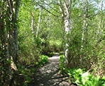The trail around Killarney Lake on Bowen Island