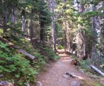The Lightning Lake Loop Trail in Manning Provincial Park