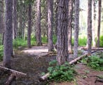 The creek crossing at the far end of Lightning Lake