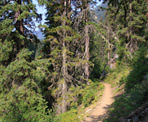 The Lightning Lakes Chain Trail in Manning Provincial Park