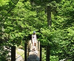 Standing on a log bridge on the trail to Lindeman Lake in Chilliwack, BC