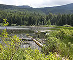 A view looking across Lost Lake towards the beach area in Whistler, BC